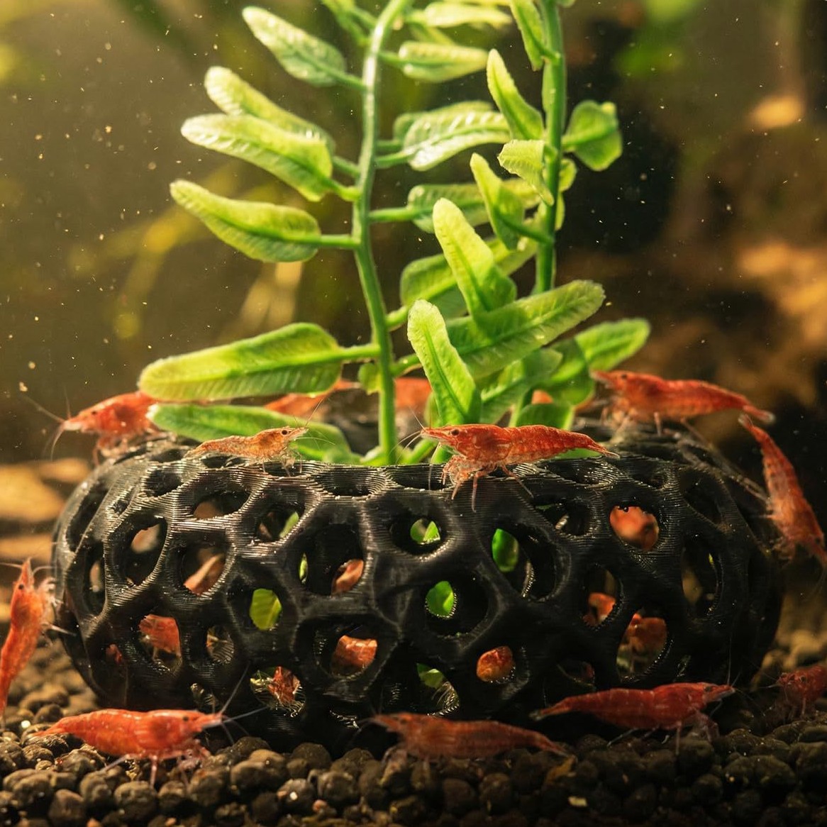 Aquarium Fish Reproduction - Hot selling 3D printed aquarium fish