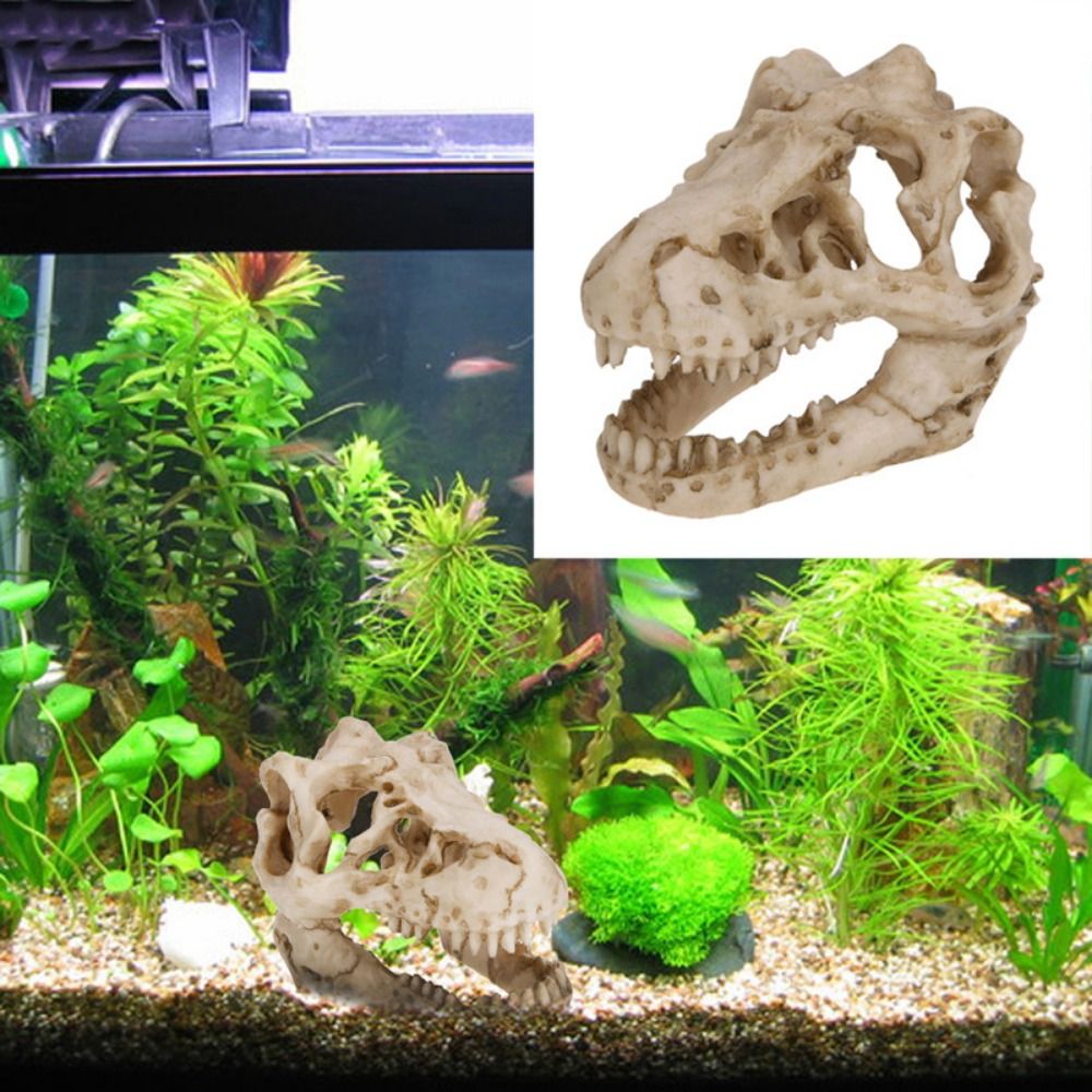 Creative Simulation Dinosaur S - Aquarium Fish Hideout review and price