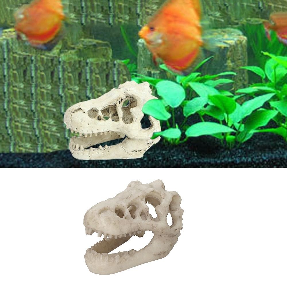 Creative Simulation Dinosaur S - Aquarium Fish Hideout review and price