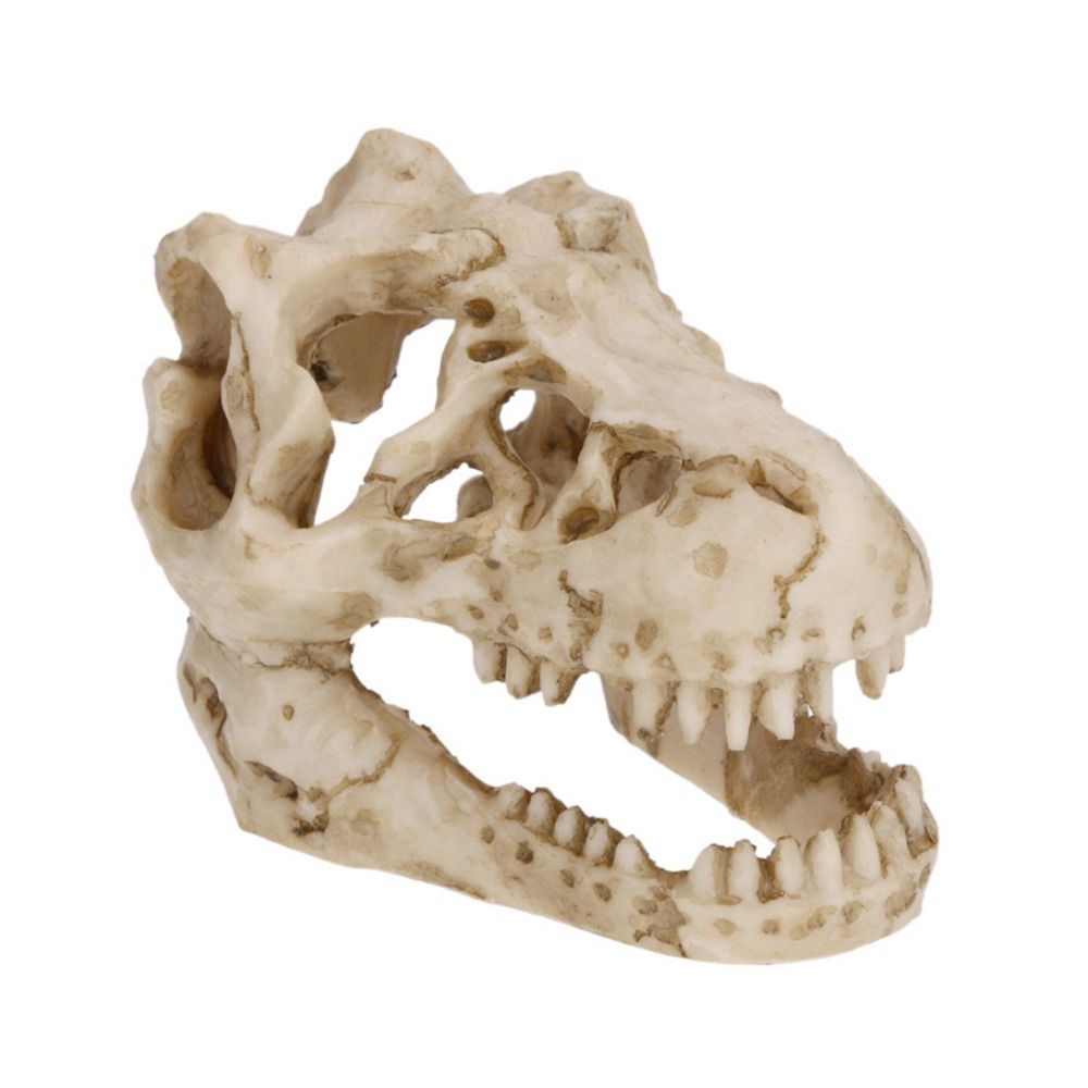 Creative Simulation Dinosaur S - Aquarium Fish Hideout review and price