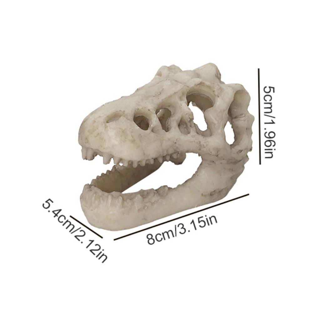 Creative Simulation Dinosaur S - Aquarium Fish Hideout review and price