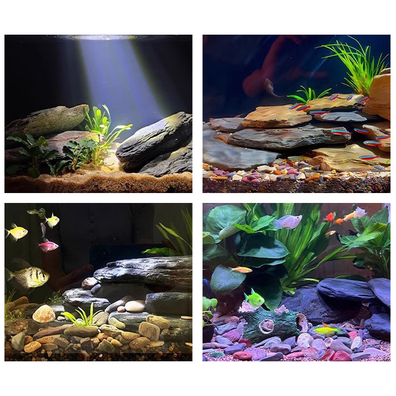 500/1000g Fish Tank Landscape  - Aquarium Fish House review and price