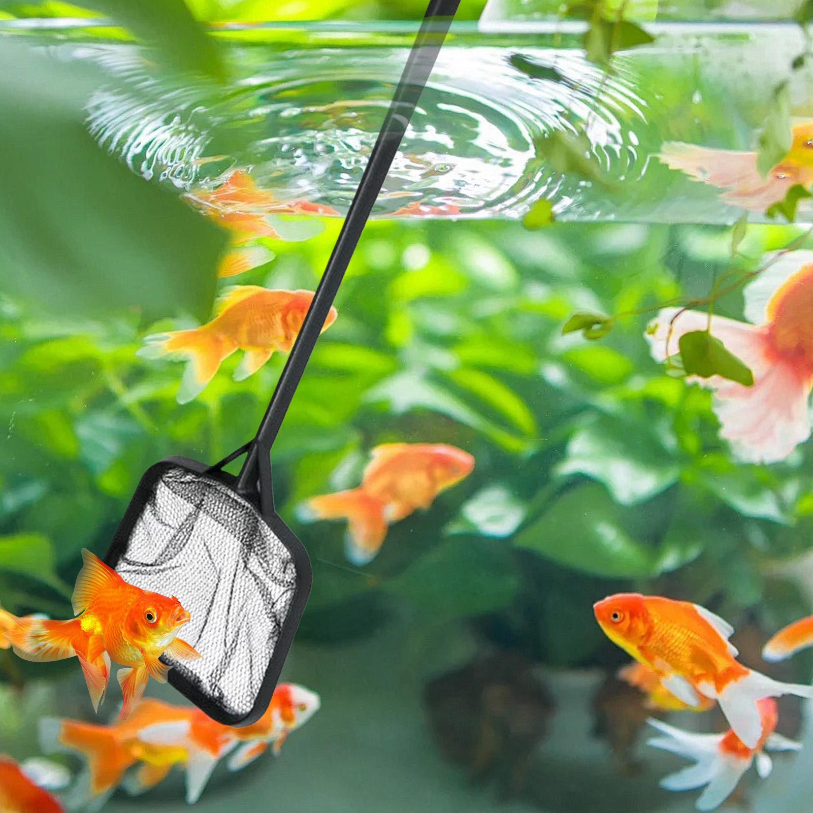 Pool Nets for Cleaning Portabl - Aquarium Fish House review and price