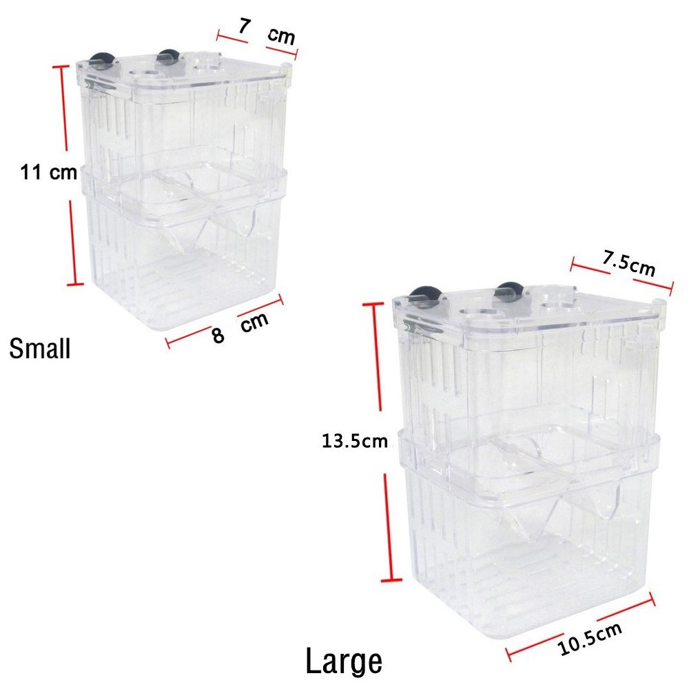 Tank Aquarium For Baby Fishes  - Aquarium Fish Reproduction review and price