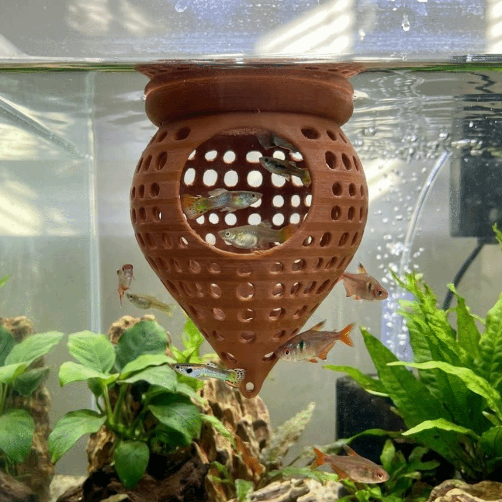 3D Printed Floating Fish Hammo - Aquarium Fish Hideout review and price