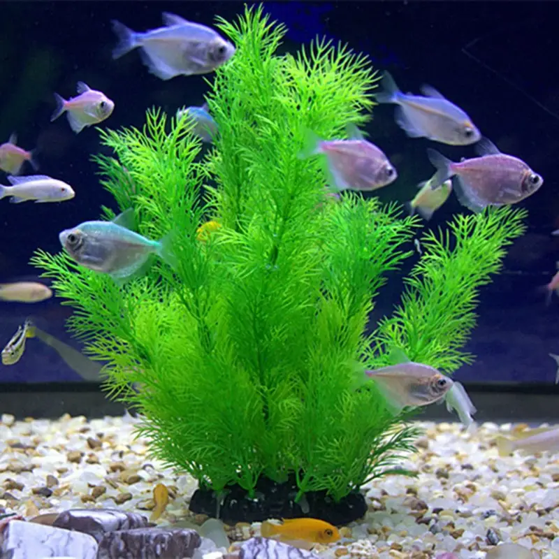 Artificial Aquarium Decor Plan - Aquarium Fish Artificial review and price