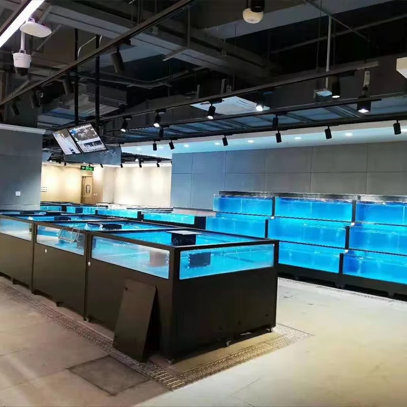 Square Glass Freshwater Fish T - Aquarium Xl review and price