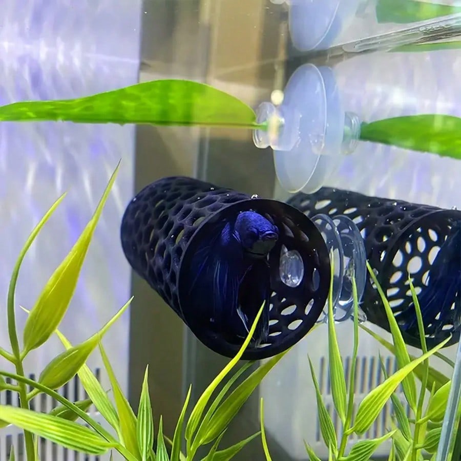 Betta Fish Hideout Hollow Tube - Aquarium Fish Hideout review and price