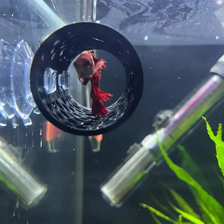 Betta Fish Hideout Hollow Tube - Aquarium Fish Hideout review and price