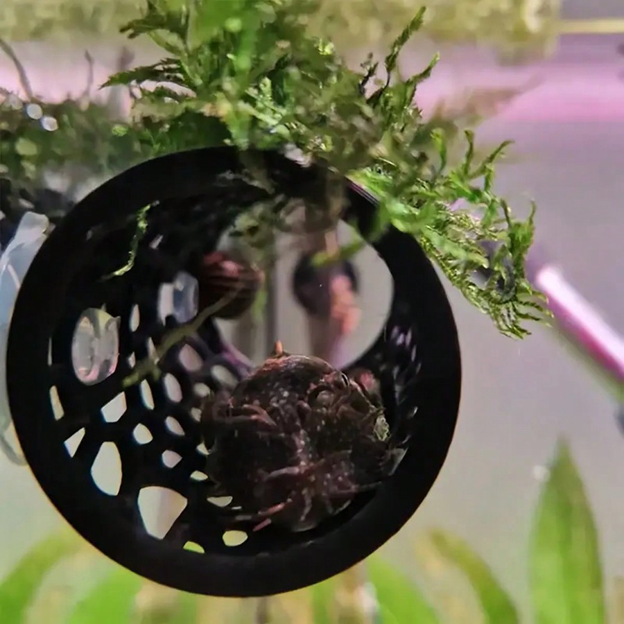 Betta Fish Hideout Hollow Tube - Aquarium Fish Hideout review and price