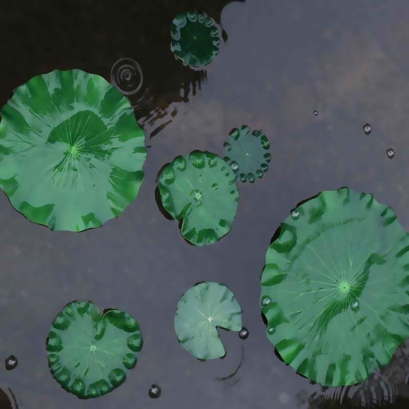 2026 Artificial Water Lily Lot - Aquarium Fish Artificial review and price