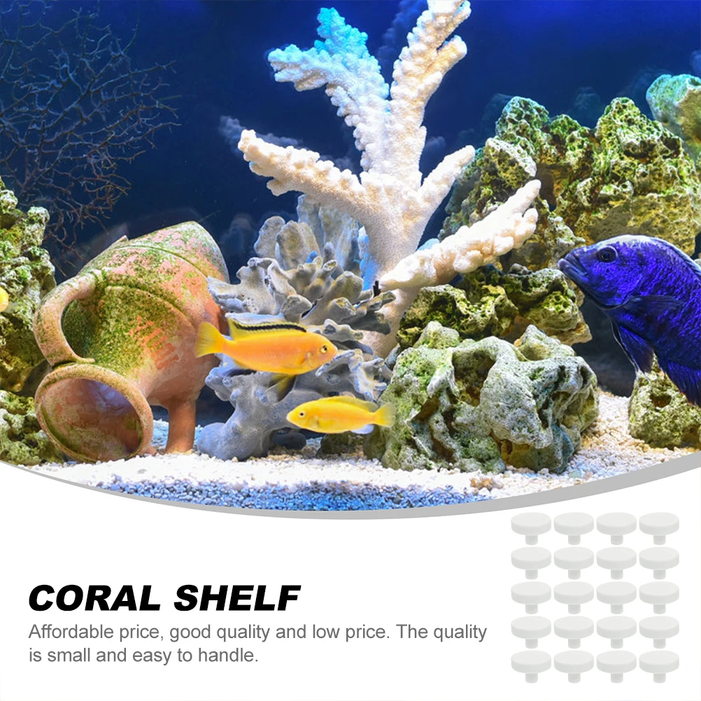 20Pcs Coral Glue Reef Safe Cor - Aquarium Fish Reproduction review and price