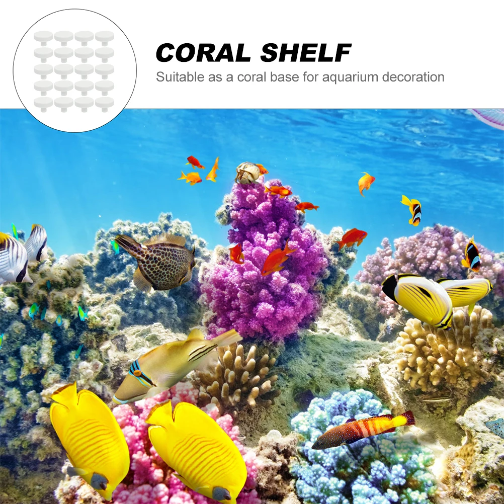 20Pcs Coral Glue Reef Safe Cor - Aquarium Fish Reproduction review and price