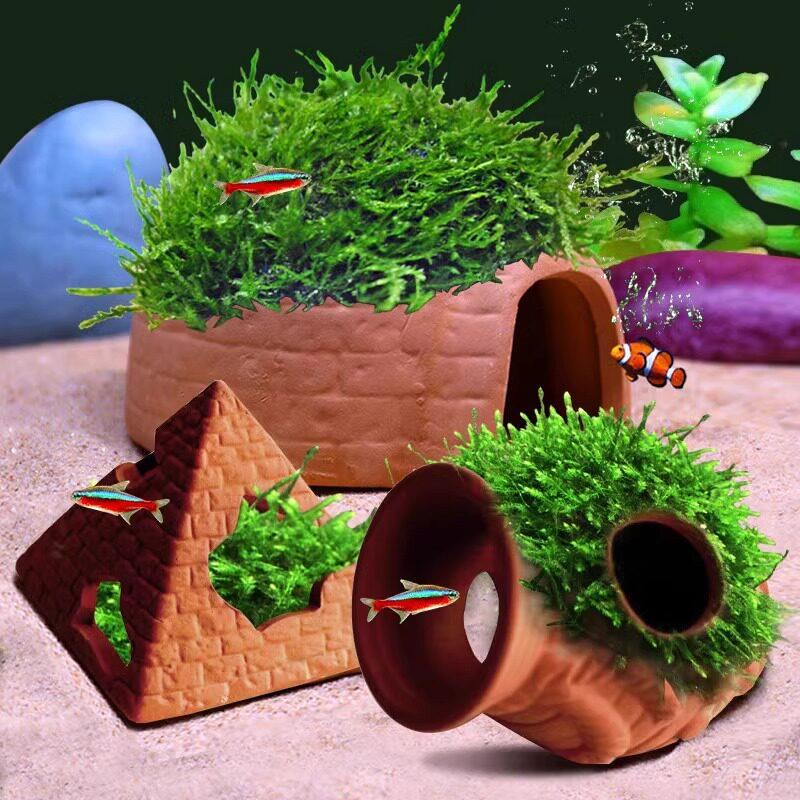  Clay Tank with Hiding Hole fo - Aquarium Fish Reproduction review and price