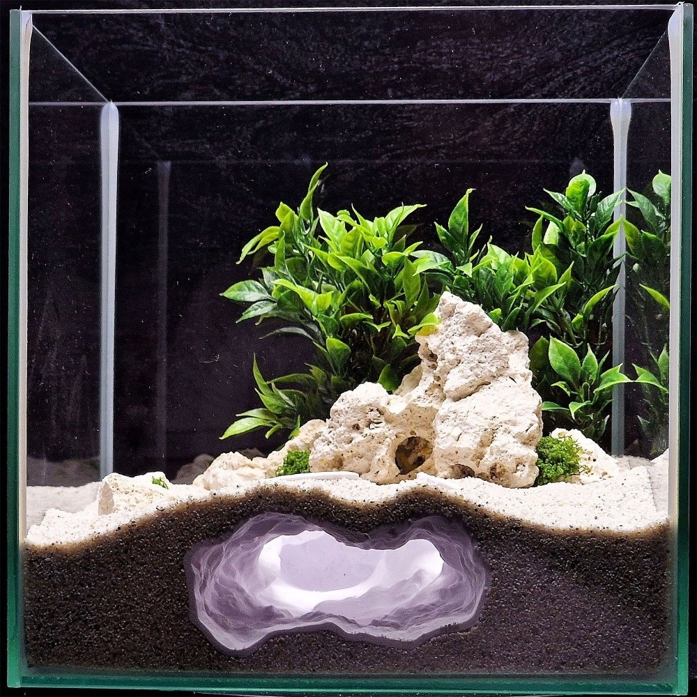 Highly Simulated Aquarium Fish - Aquarium Fish Hideout review and price
