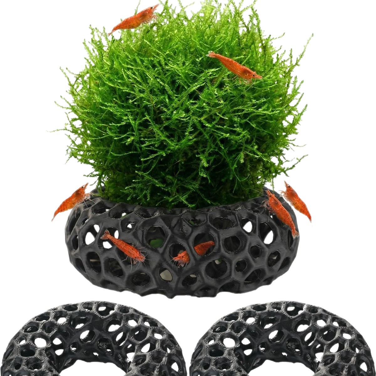 Hot selling 3D printed aquariu - Aquarium Fish Reproduction review and price