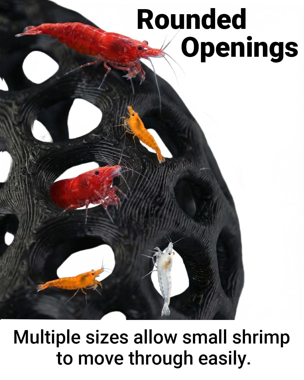 Hot selling 3D printed aquariu - Aquarium Fish Reproduction review and price