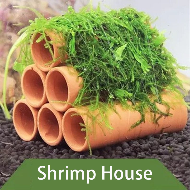 Clay Aquarium Decoration Fish  - Aquarium Fish Hideout review and price