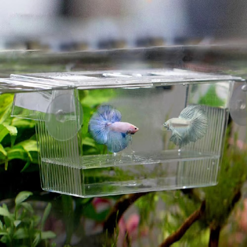 New Acrylic Fish Tank Breeding - Aquarium Fish Reproduction review and price