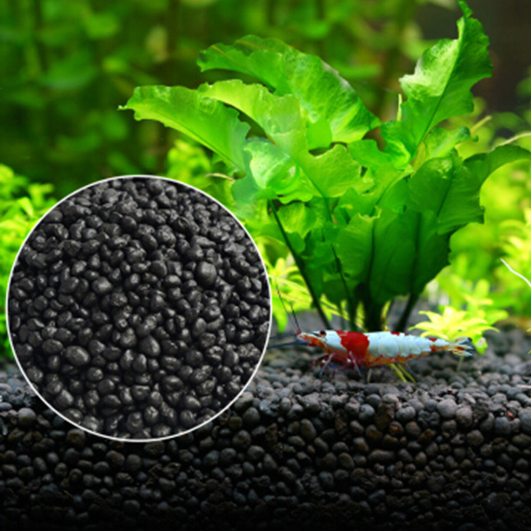 Aquarium Plant Seeds Soil Fish - Aquarium Fish House review and price