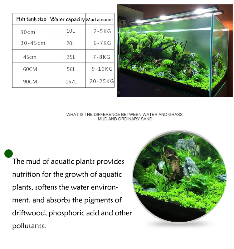Aquarium Plant Seeds Soil Fish - Aquarium Fish House review and price
