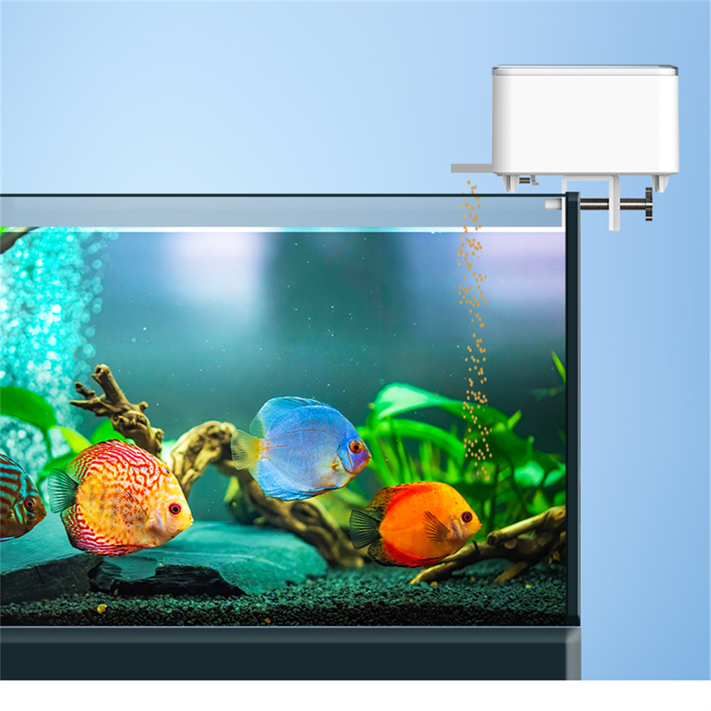WiFi Smart Automatic Feeder Aq - Aquarium Fish Feeder Automatic review and price