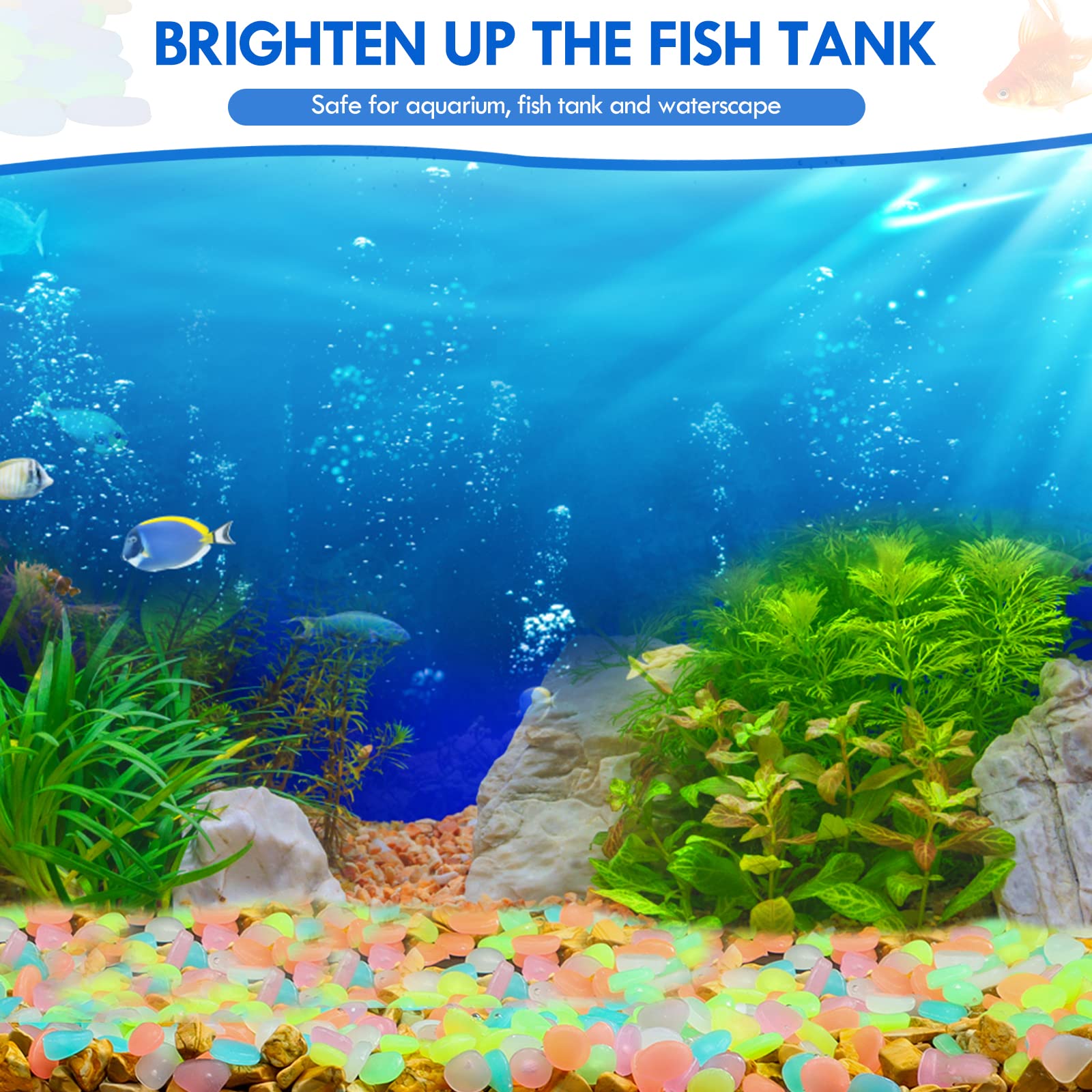 100Pcs Glow in the Dark Garden - Aquarium Fish House review and price