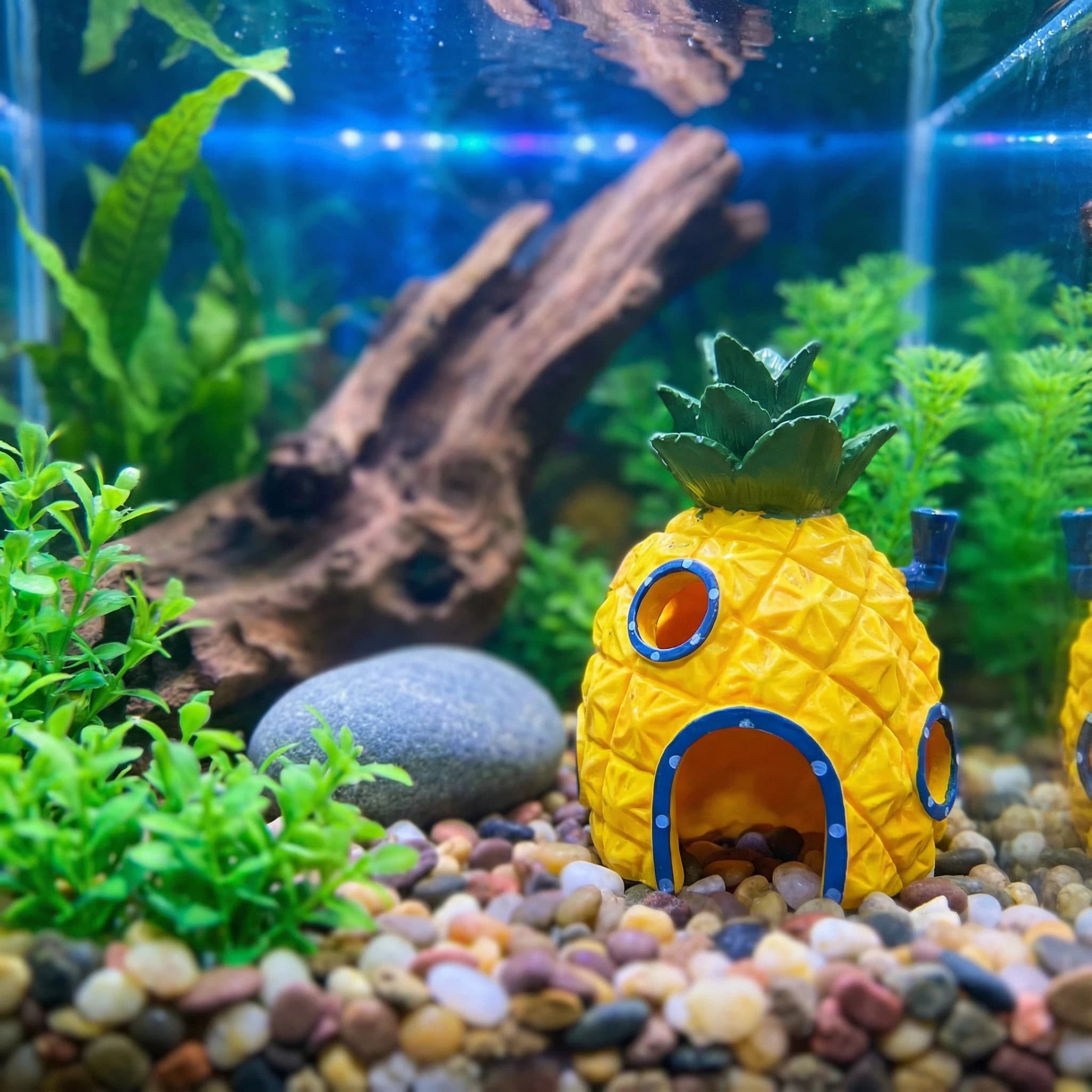 Pineapple House Aquarium Decor - Aquarium Fish Hideout review and price
