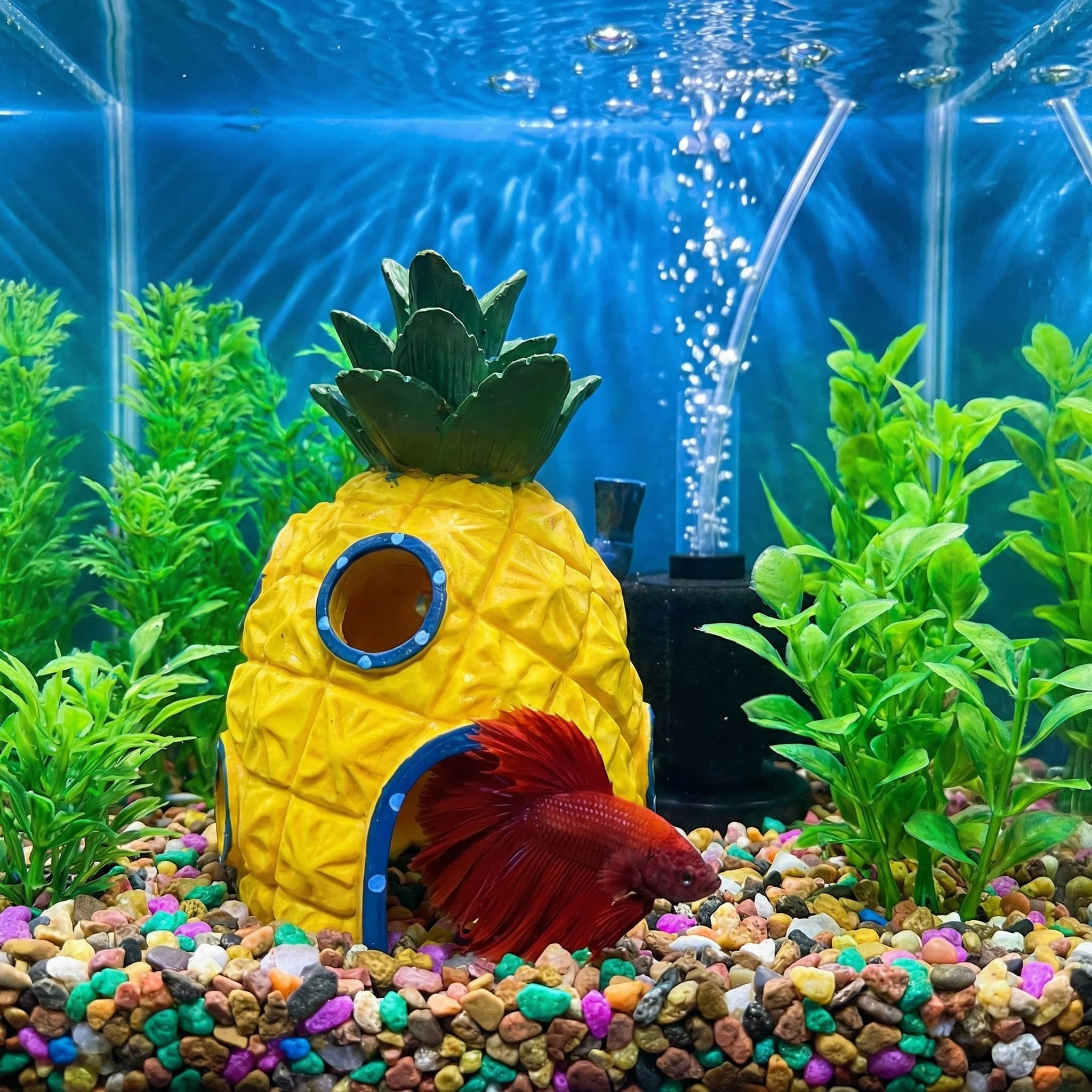 Pineapple House Aquarium Decor - Aquarium Fish Hideout review and price