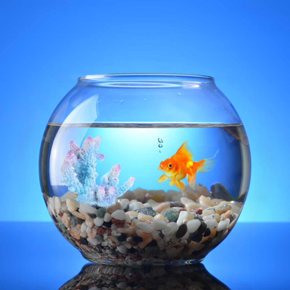 Xl-S1718 Lifelike Resin Coral  - Aquarium Xl review and price
