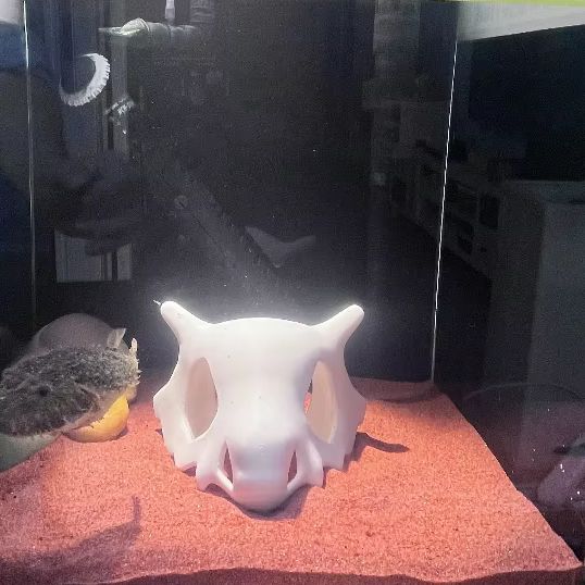 3D Printed FIsh Shrimp Reptile - Aquarium Fish Hideout review and price
